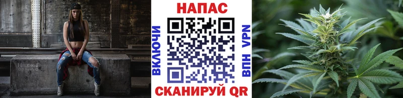 МЕГА вход  Тында  Каннабис планчик 